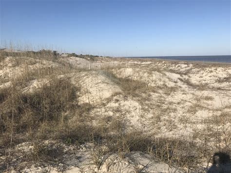 Jekyll Island Bike Trails - Sharing Horizons