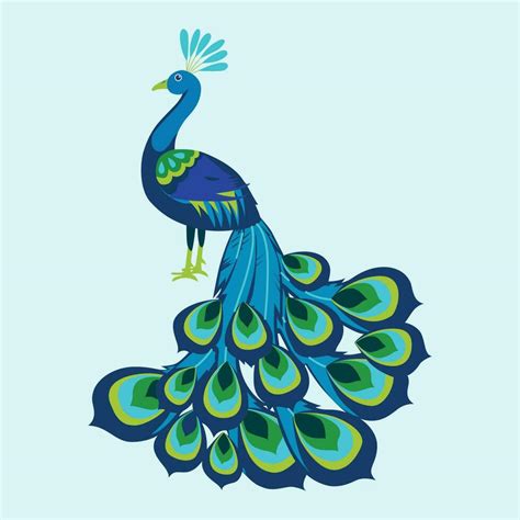 Peacock Bird Vector Art Icons And Graphics For Free Download