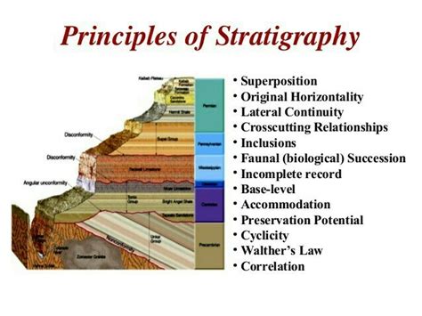 What Is The Principle Of Stratigraphy Brainly In