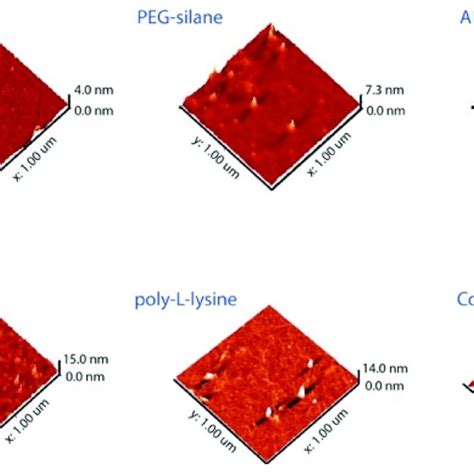 Atomic Force Microscopy Images Of All The Modified Surfaces Notice