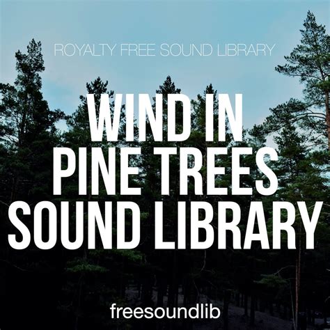 Wind In Pine Trees | Wind & Forest Sounds | freesoundlib