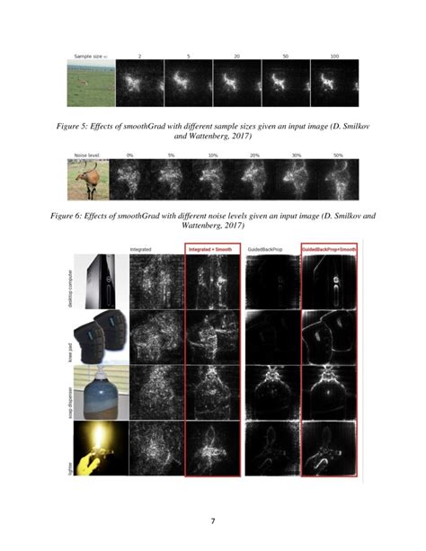 Improving Disease Classification Performance And Explainability Of Deep