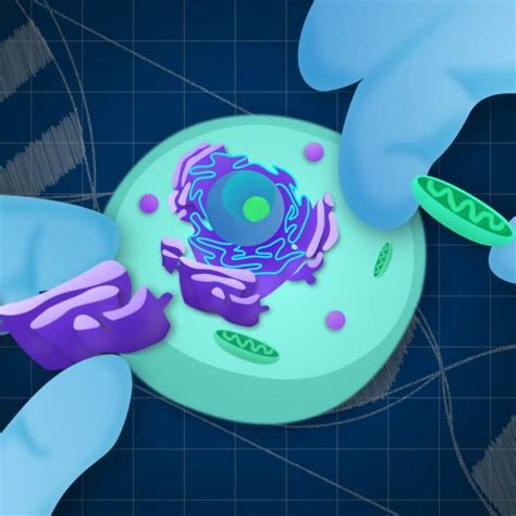 chemicals  life scientists   build  cell  scratch