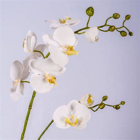 Acheter des Tige dorchidée Phalaenopsis en tissu LAHNA blanc 95cm