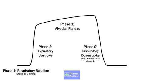 Capnography Guide: Normal Waveforms Explained - Thames Medical Ltd.