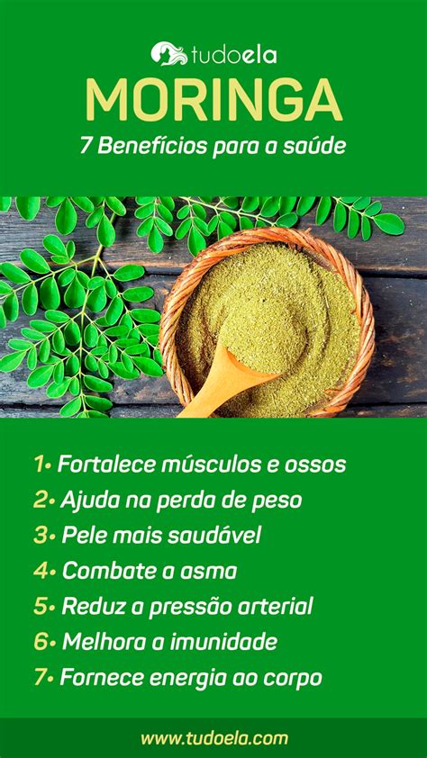 Para Que Serve A Folha Da Planta Moringa Plantă Blog