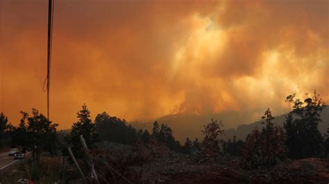 Corma Acus Intencionalidad Tras Incendios Forestales