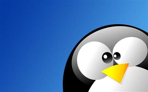 Free Download 65 Linux Tux Wallpapers On Wallpaperplay 1920x1200 For