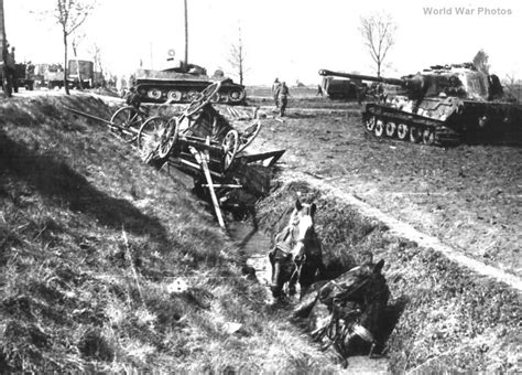 Tigers Of The Schwere Panzer Abteilung 424 1945 World War Photos