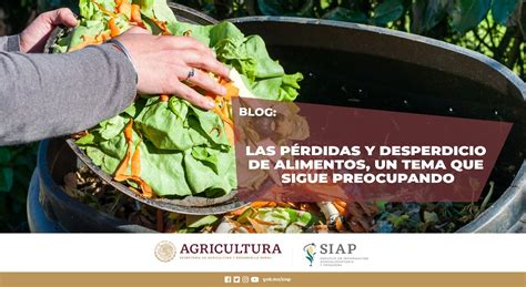 Las P Rdidas Y Desperdicio De Alimentos Un Tema Que Sigue Preocupando