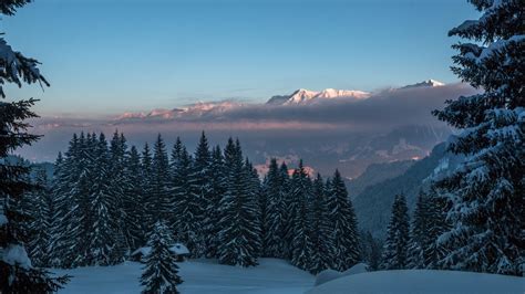 Montañas en el bosque lleno de nieve Fondo de pantalla 4k HD ID 6020