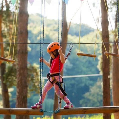 The Rope Park Is An Attraction With Rope Obstacles At A Height