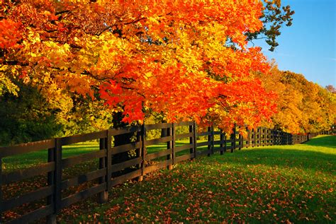 14 Best Places To Experience Fall In Kentucky - Southern Trippers