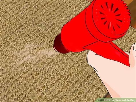 How To Clean A Jute Rug 9 Steps With Pictures WikiHow