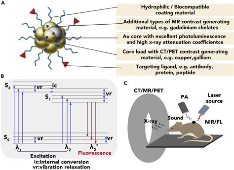 Advances Of Gold Nanoclusters For Bioimaging Iscience