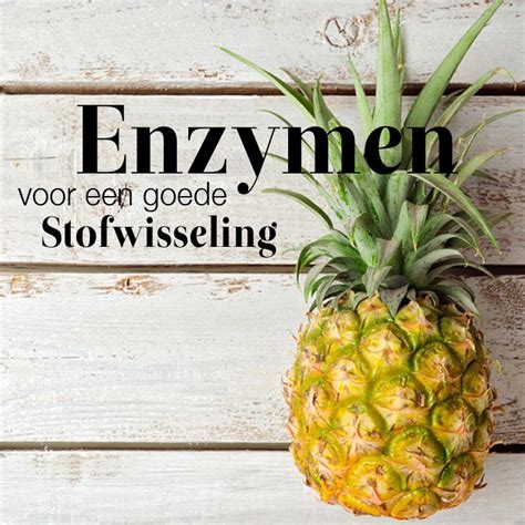 Enzymen Zijn Zeer Belangrijk Voor Het Verteringssysteem En Helpen Ook