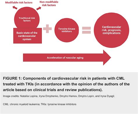 Figure 1 From A New Paradigm Of Cardio Hematological Monitoring In Chronic Myeloid Leukemia