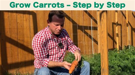 Fall Garden Week Step By Step Carrot Growing Guide Youtube