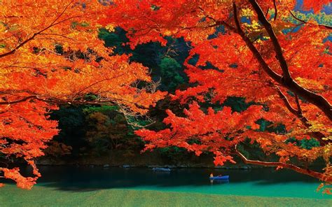 Kyoto Fall Wallpapers on WallpaperDog