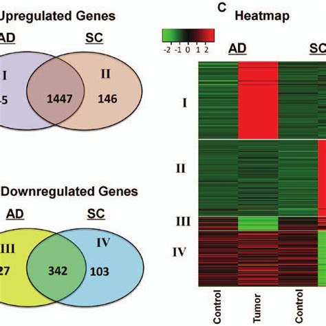 Differential Gene Expression In Ad And Sc A And B Venn Diagrams Of