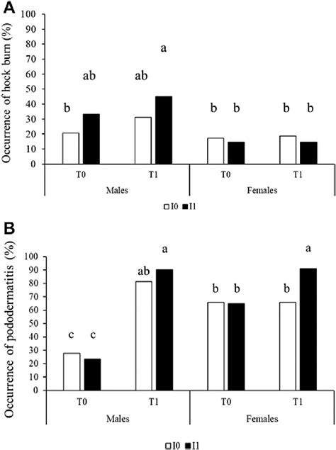 Effects Of Sex Incubation Condition And Postnatal Rearing Condition Download Scientific