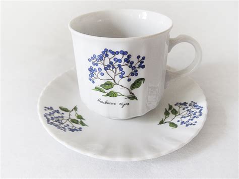 Seltmann Weiden Bavaria Renate Flora Porcelain Teacups And Etsy