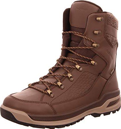 Lowa Renegade Evo Ice GTX Herren Ab 195 62 2025 Preisvergleich