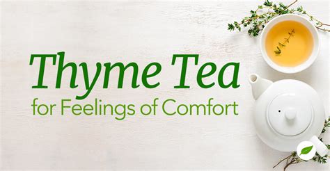 Discover The Alluring Flavor And Potential Benefits Of Thyme Tea Nhc