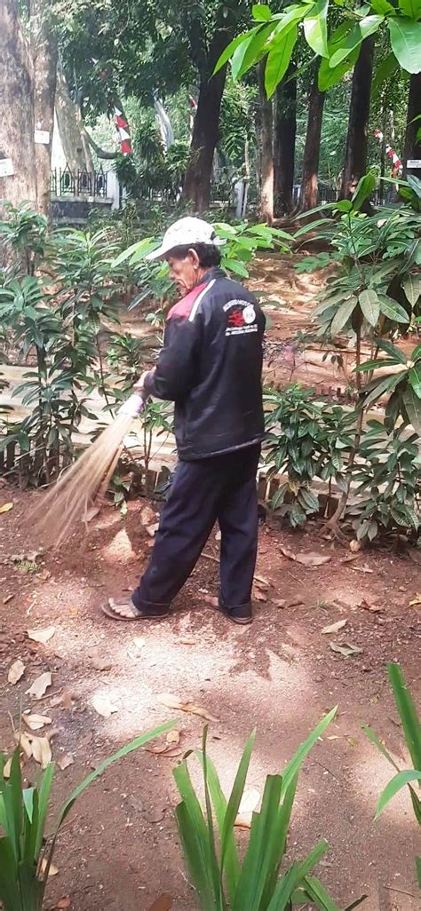 Wisata Alam Di Hutan Kota Ranggawulung Cocok Dikunjungi Saat Cuaca