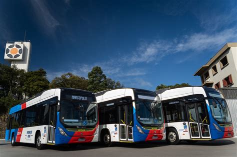 Marcopolo e BYD entregam 20 ônibus 100 elétricos para Salvador Frota Cia