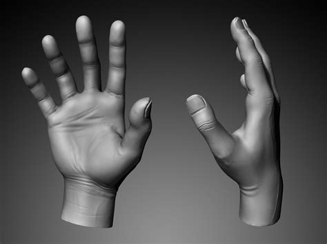 Stylized Cartoon Hand Model 52 Off