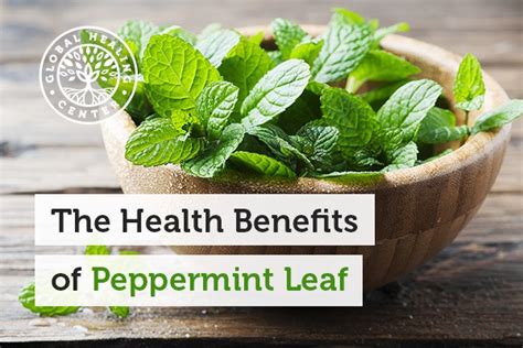 The Health Benefits of Peppermint Leaf