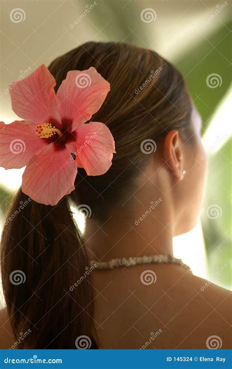 Woman Wearing Hibiscus Flower Stock Images Image 145324