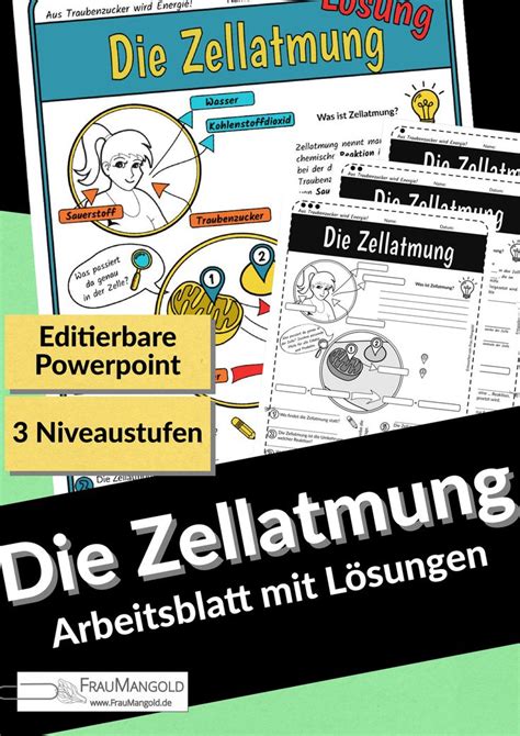 Zellatmung Arbeitsblatt mit Präsentationsfolien und Lösung