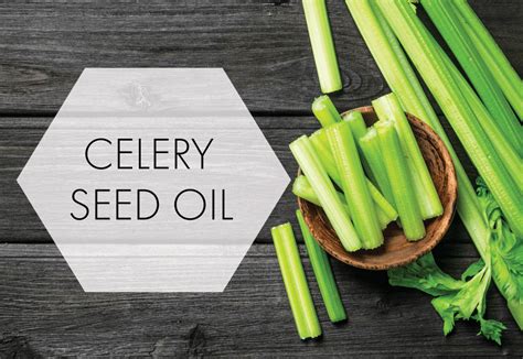 Celery Seed Oil - Vigon