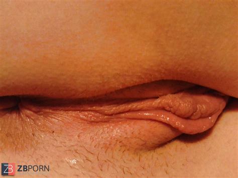 Fun Bags Labia And Skimpy Crimson Arse ZB Porn