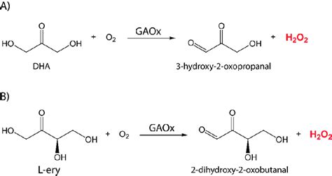 Réactions Catalysées Par La Gaox En Présence De A Dihydroxyacétone