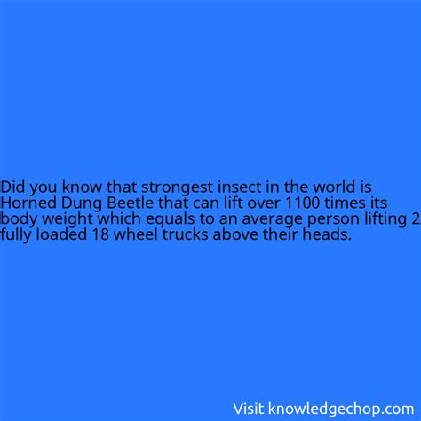 that strongest insect in the world is Horned Dung Beetle that can lift ...