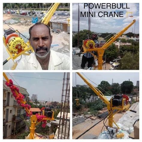 POWER BULL 10 M Tower Hoist Concrete Lift Capacity 250 KG At Rs