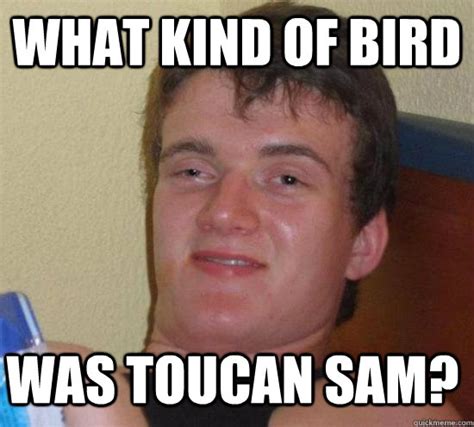 What Kind Of Bird Was Toucan Sam 10 Guy Quickmeme