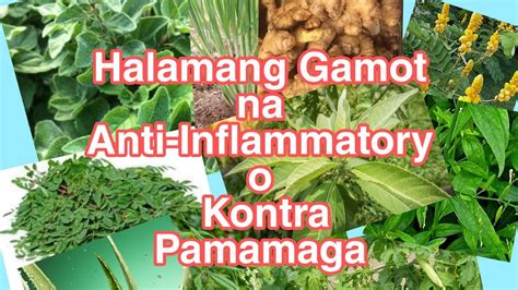 Gamot Sa Kirot At Pamamaga Pamagamo