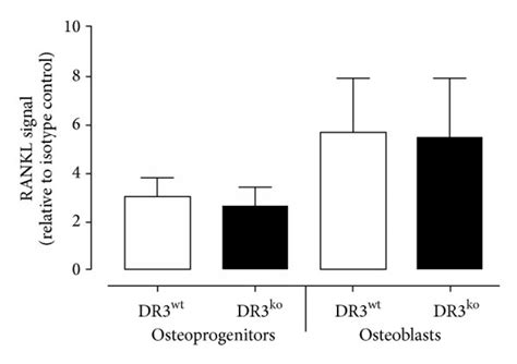 Effect Of DR3 On OB Derived RANKL And OPG A Cell Surface Expression