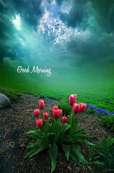 56 Good Morning Quotes And Wishes With Beautiful Images Good Morning