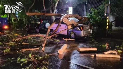 台北大雨狂炸！路樹倒塌 女騎士遭砸傷送醫│鋒面│豪雨│災情│tvbs新聞網