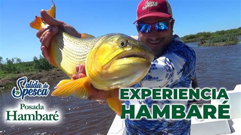 Experiencia Hambar Un D A De Pesca De Dorados En Esquina