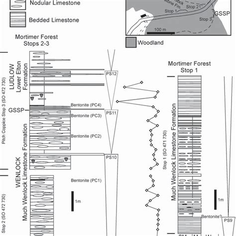 Location Sedimentary Log Sequence Stratigraphic Interpretation And