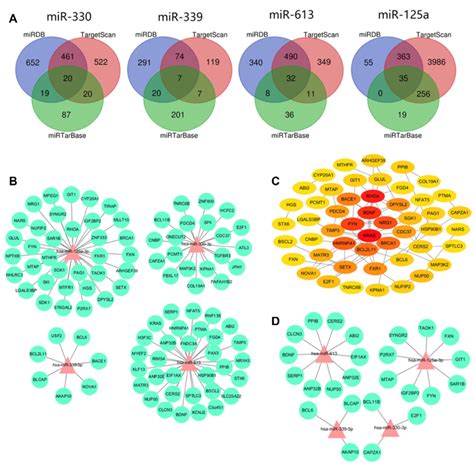 A The Results Of The Target Genes Prediction B The Regulatory