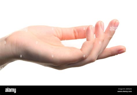 Open Palm Hand Gesture On White Background Stock Photo Alamy