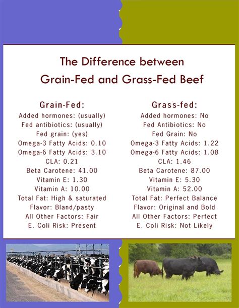 Grain Fed Vs Grass Fed Beef Gaps Pinterest