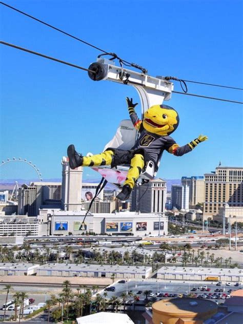 Things You Must Know About LINQ Zipline - Tripnomadic